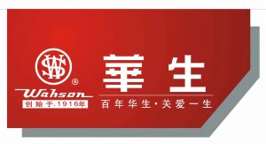 上海华生电器有限公司企业发展战略规划咨询