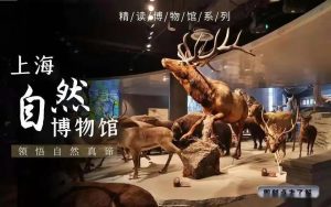 上海科技馆自然博物分馆项目可行性研究报告