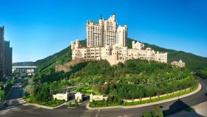 大连国华发展投资有限公司收购大连城堡公馆商业计划