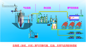 上海纯丽新能源有限公司生物质再生能源耦合项目可研