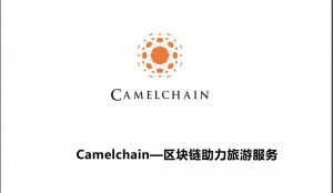 骆驼链国际旅游项目投融资顾问