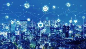 遵循经济规律 立足实际走特色转型路