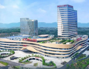 长沙先导投资控股有限公司洋湖医院项目可研