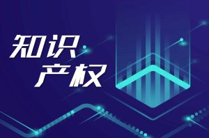 上海笑乐知识产权服务有限公司背景音乐知识产权管理项目规划