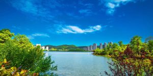 湖南长沙中建集团梅溪湖省级森林公园申报文本